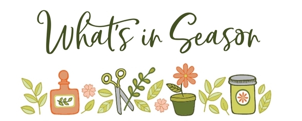 What's in Season on Garden Therapy