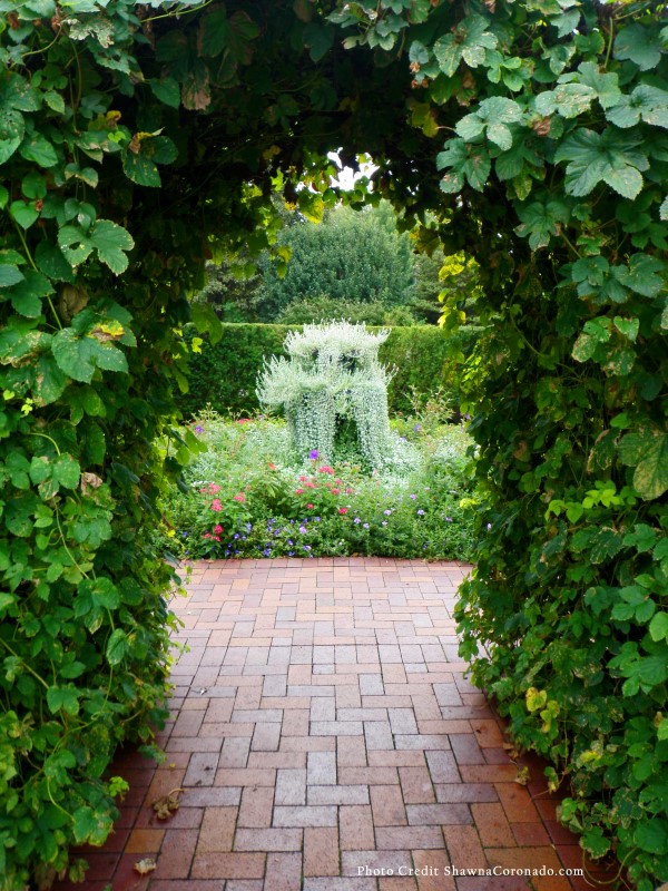 Step into a wellness garden