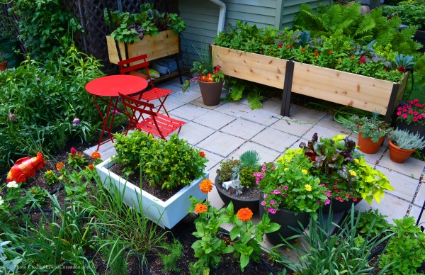 Five Easy Pieces to Design a Wellness Garden - Garden Therapy on Therapeutic Garden Design
 id=87694