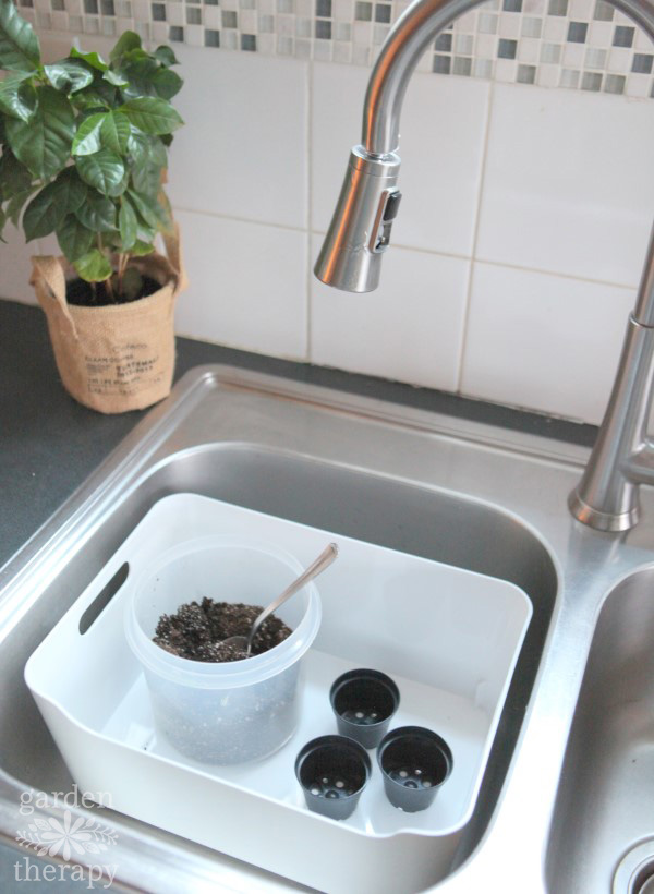 Garden Therapy indoor herb collection set up