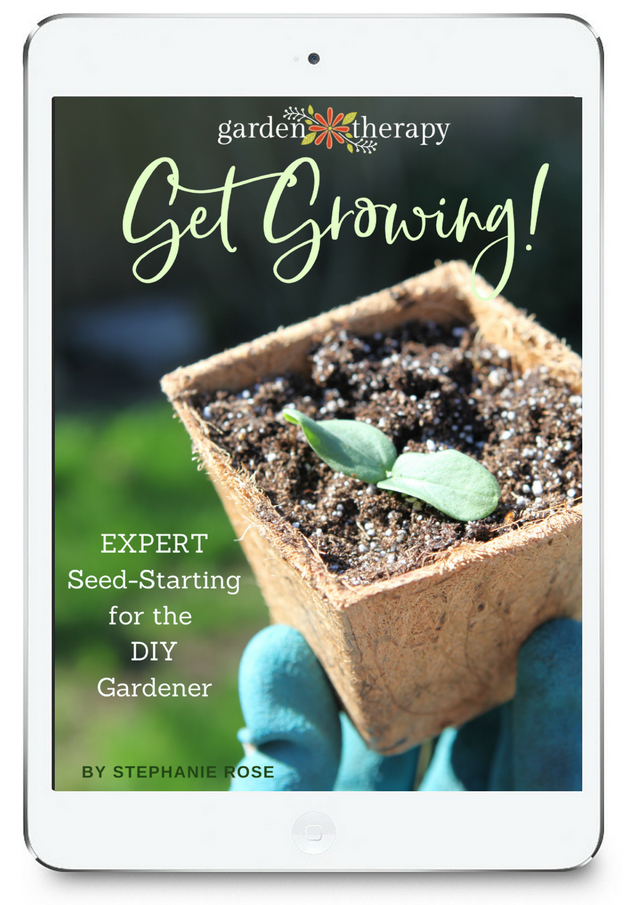 Get Growing Seed Starting eBook