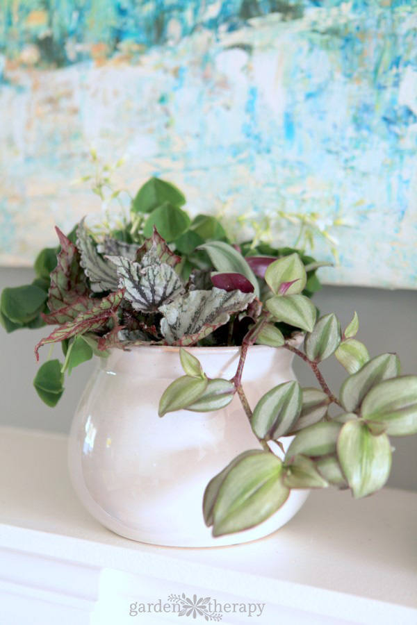 plant in a white container in front of a blue painting. 