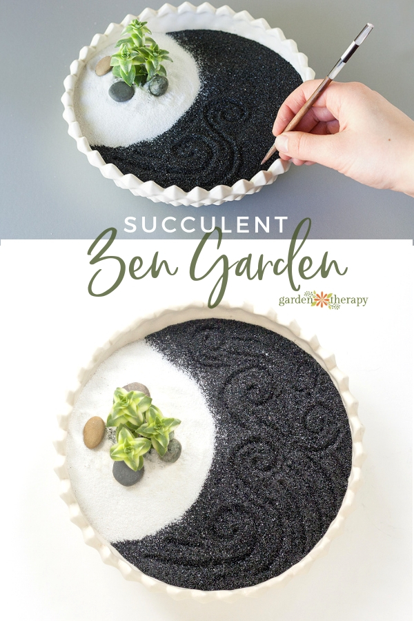 Succulent Zen Garden