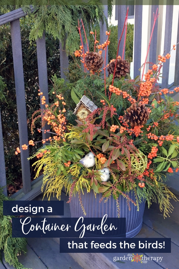 Winter Container Garden That Feeds the Birds