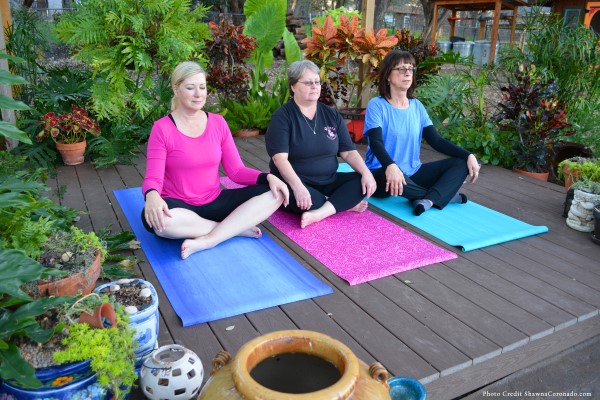 A yoga garden for wellness