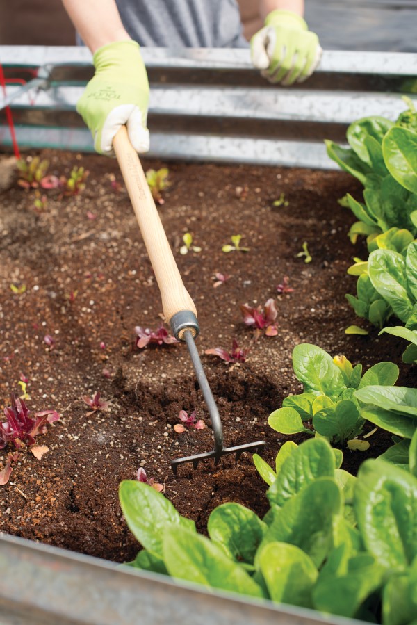 mini garden rake with long handle being used to rake soil