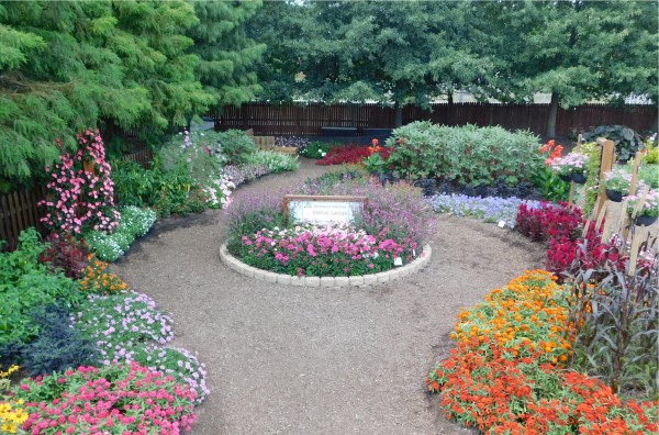 Circular garden blooming with purple flowers surrounded by a round path with colorful flowers on the outer edges