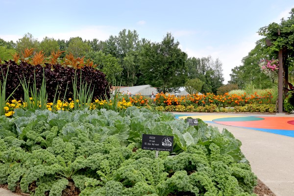 Kale bed in front of flower gardens with a greenhouse and trees in the background