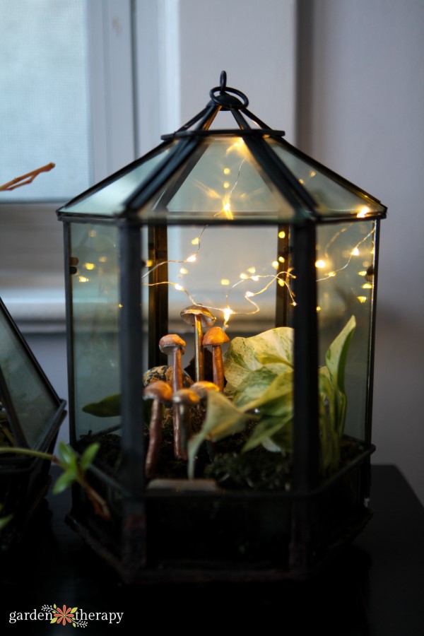 clay mushrooms with fairy lights in a terrarium 