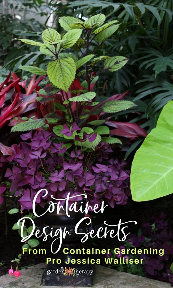 A stunning multicolored container garden planted using expert Jessica Walliser's design secrets