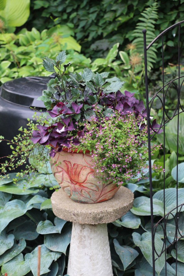 Small pot with abstract red design planted with purple flowers and foliage and placed on a concrete pedestal outdoors.