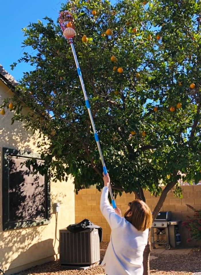 woman using DonSail Fruit Picker