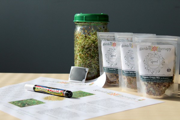 Mason jar full of sprouts, three clear plastic packages of seeds, papers with obscured writing and text, black labels, and a chalk pen all set out on a wooden surface