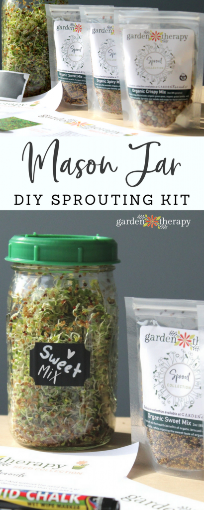 Jar-to-Table Gardening: Grow Your Own Spicy, Sweet, and Crispy Sprouts ...