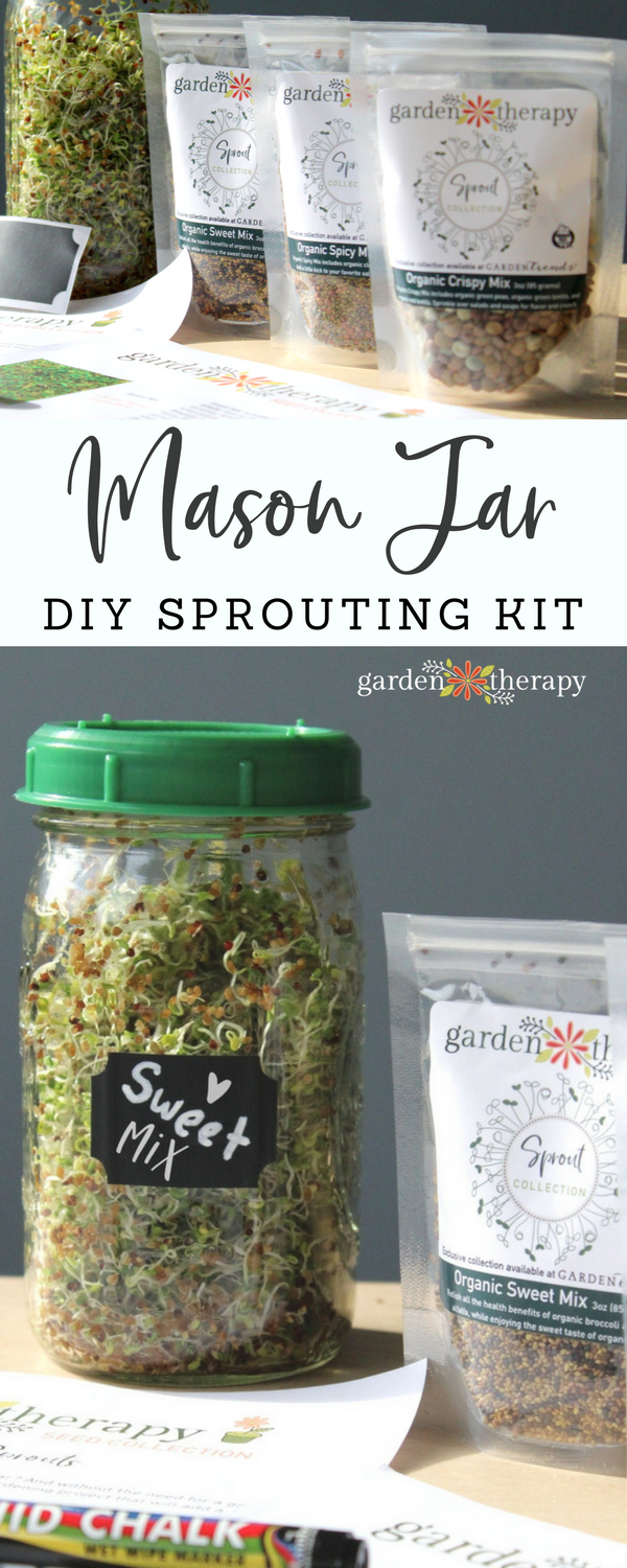 Collage image of a glass jar full of sprouts labelled "Sweet Mix" and three plastic packages full of seeds with text overlay "Mason Jar Sprouting DIY Kit"