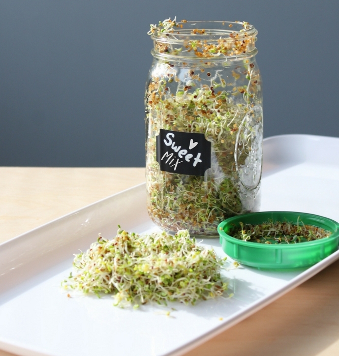 sprouts in a Mason jar with the lid off