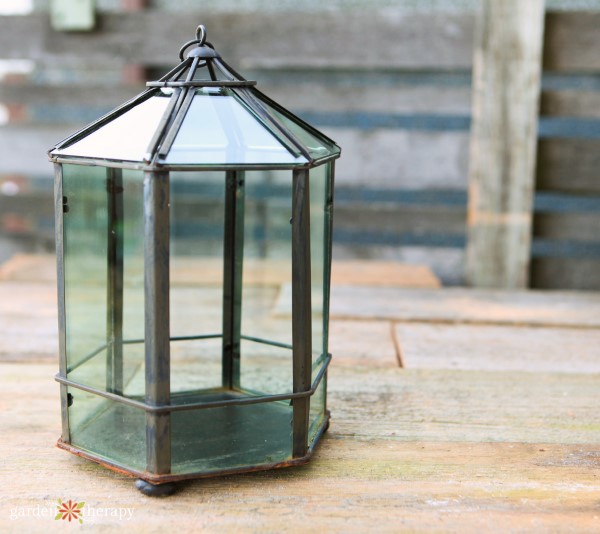 Empty geometric glass terrarium