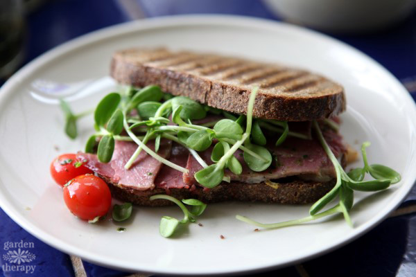 Sandwhich with ground beef, tomatoes, and sunflower microgreens.