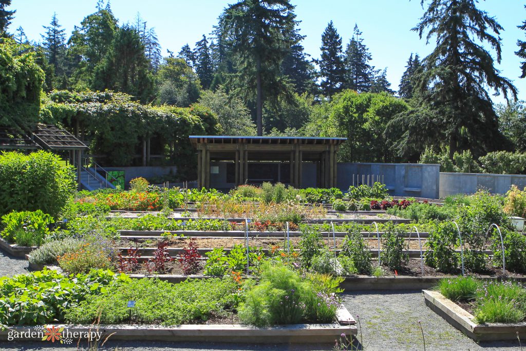 raised beds vs in ground 