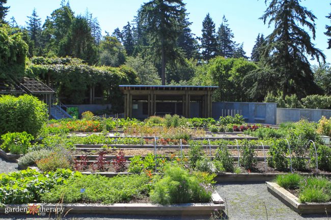 Large vegetable garden with herbs interspersed to deter pests.