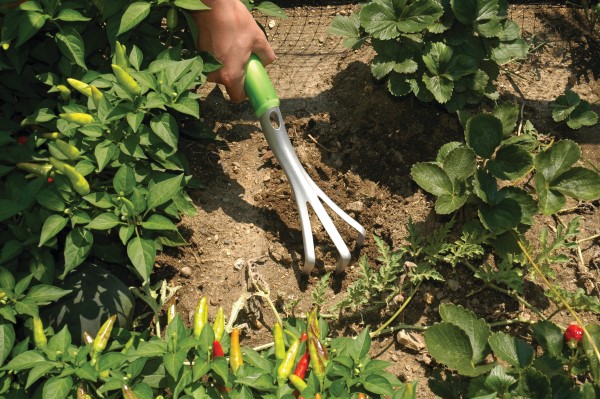 Hand holding a small garden fork and digging in the soil