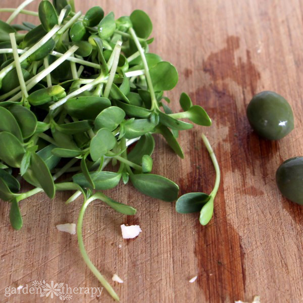 Sunflower microgreens on a wooden cutting board.