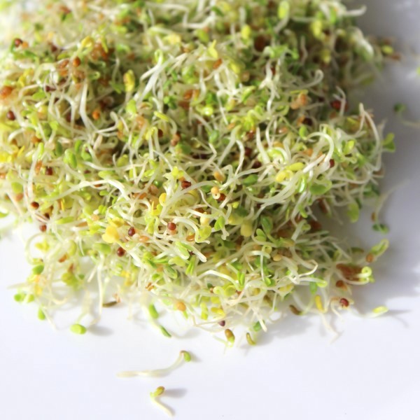 Close-up image of sprouts on a white surface.