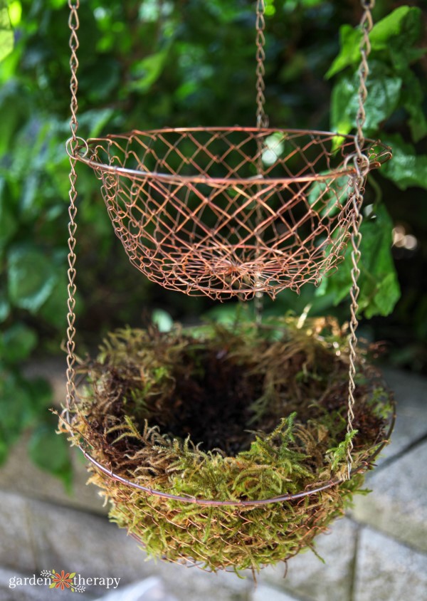 hanging baskets What is the Distinction Between Sphagnum Moss vs Peat Moss?