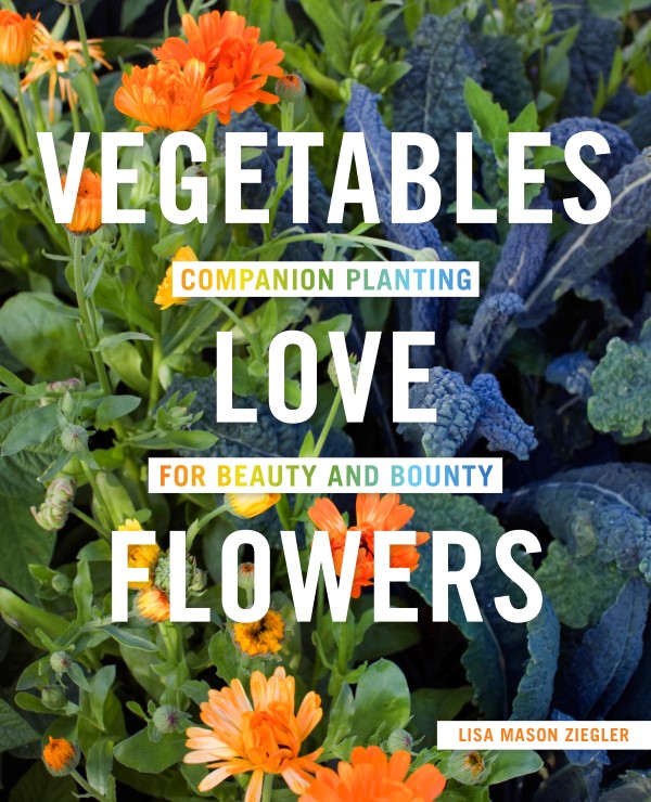Vegetables Love Flowers by Lisa Ziegler