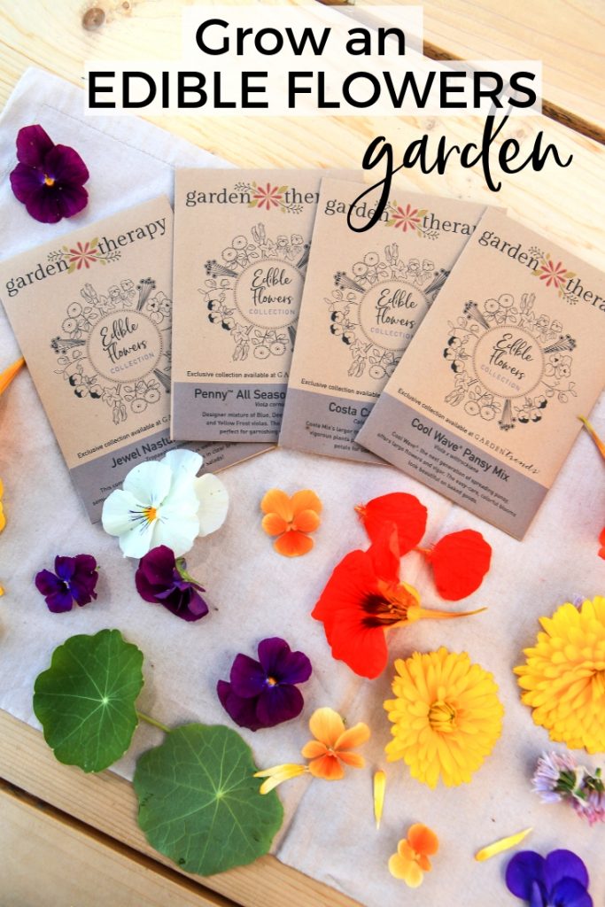 Grow an EDIBLE FLOWERS Garden from seed