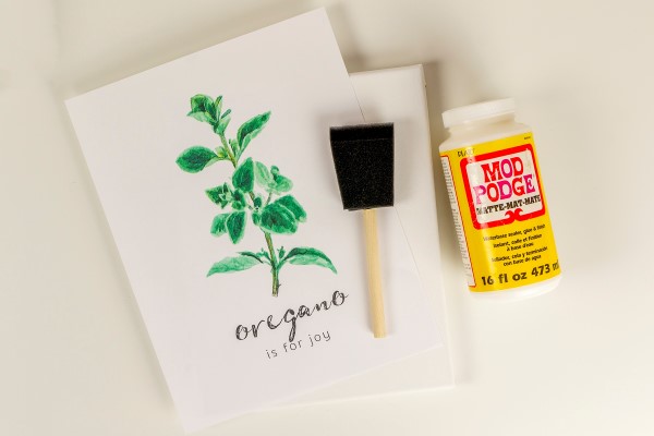 Herb prints supplies: printable, Mod Podge, and a sponge brush