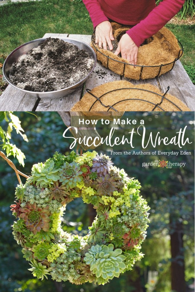 MY 100 YEAR OLD HOME How to Make a Succulent Wreath Crafts