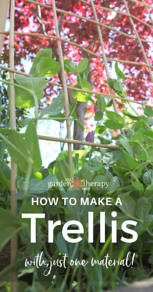 pinterest graphic for diy garden trellis