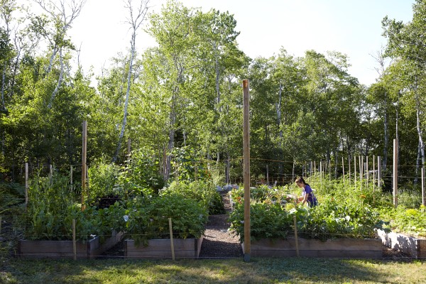 Niki Jabbour working in the vegetable garden