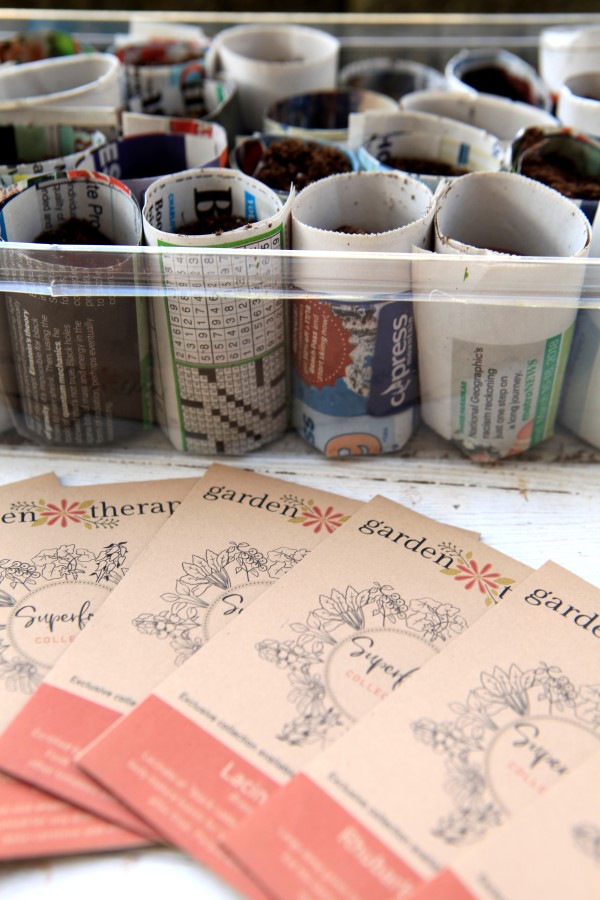 Paper pots for growing seedlings