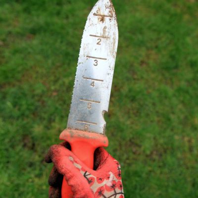 A soil knife is one of my favorite tools