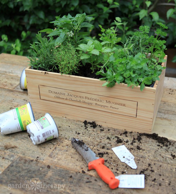 Using a soil knife in the garden to dig, weed, aerate, and more