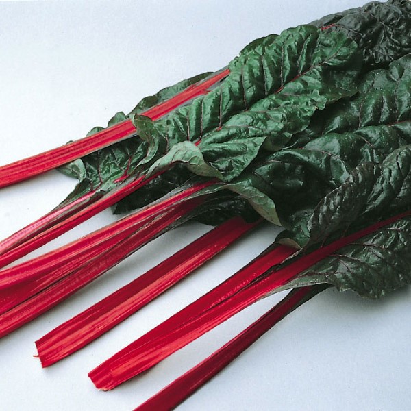 Rhubarb Swiss Chard