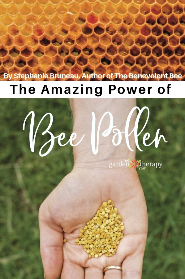 the-amazing-power-of-bee-pollen-garden-therapy