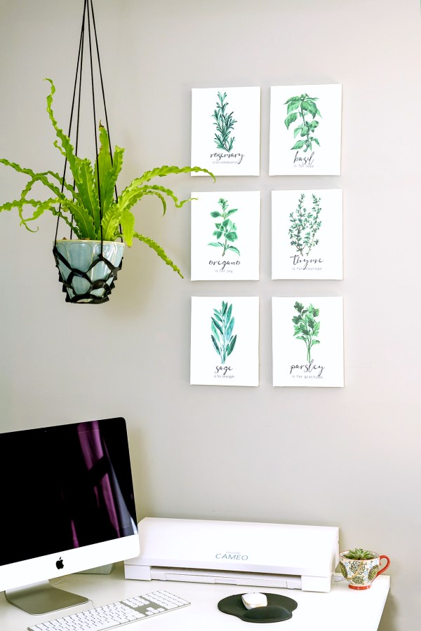 herb prints on display in a home office