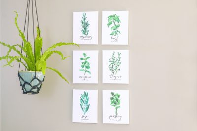 Discover the Beauty and Meaning of Herbs with these Free Herb Printables