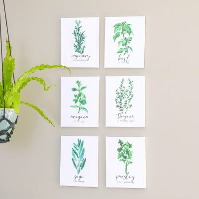 Discover the Beauty and Meaning of Herbs with these Free Herb Printables