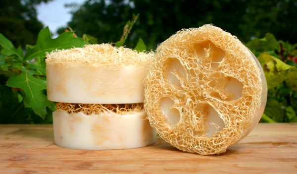 luffa gourd soap