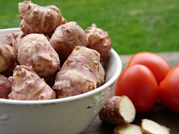 Jerusalem artichokes or sunchokes