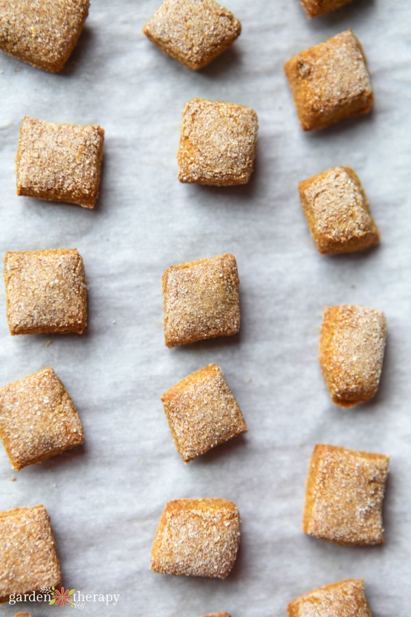 baked pumpkin dog treats