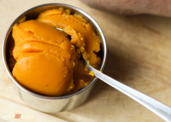 pumpkin to add to homemade dog cookies