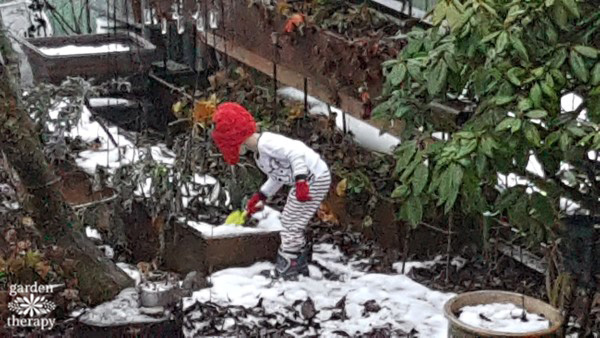 Kids love to garden, even in winter