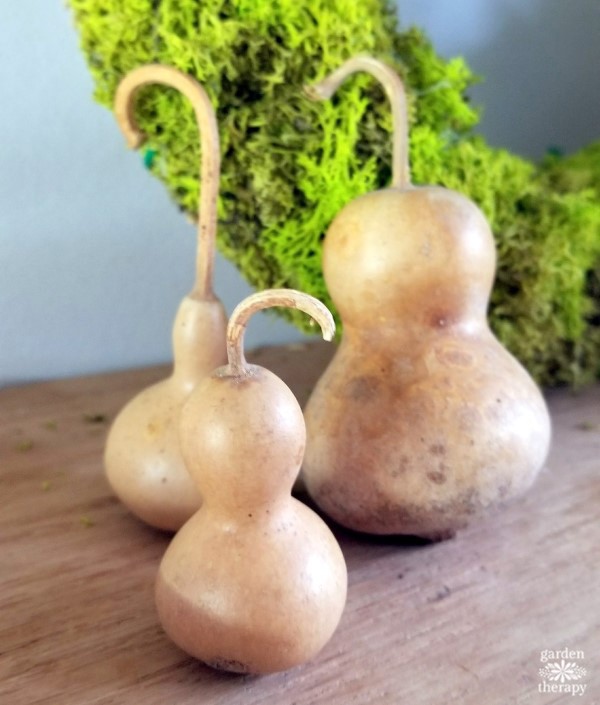 Baby bottle gourds as table decor