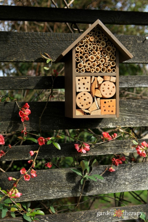 bug hotel attached to a wooden fence with flowering quince