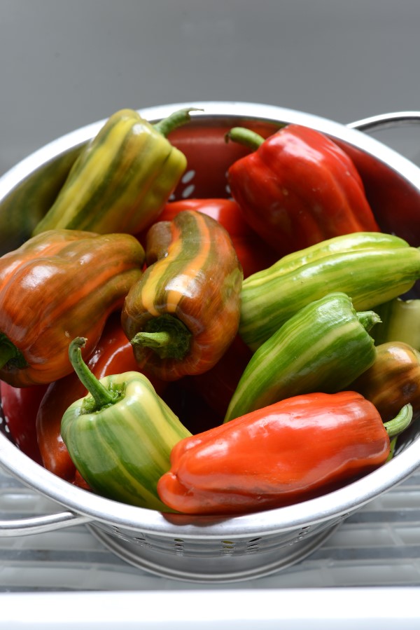 Candy Cane red peppers with stripes